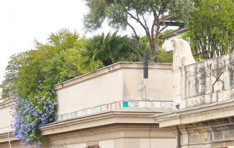 Scopri di più sull'articolo Giardino urbano. Breve guida al progetto.