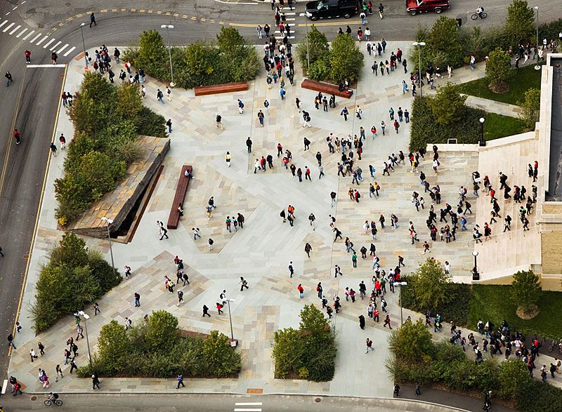 piazza viva